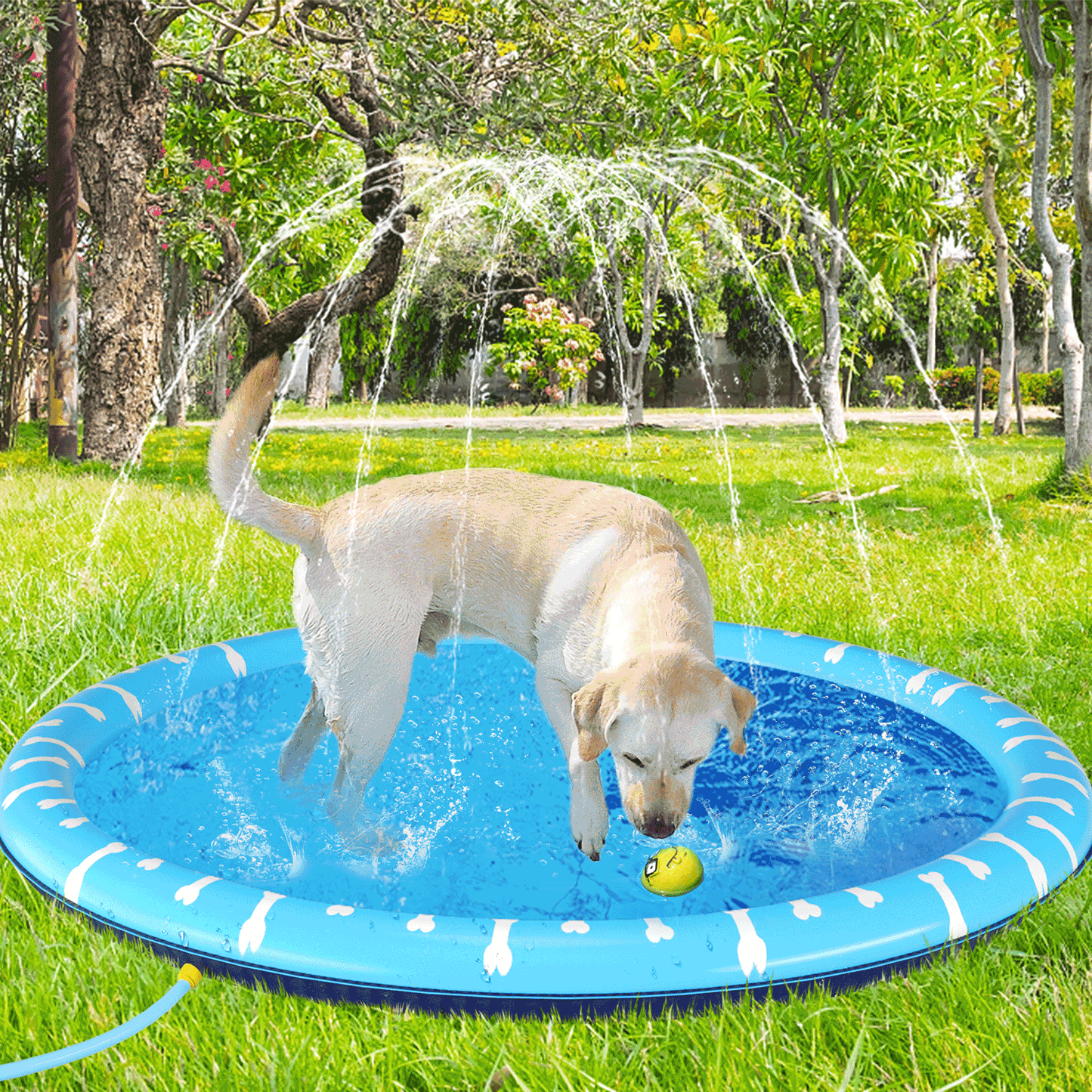 PISCINA GONFIABILE SPLASH TG.L
