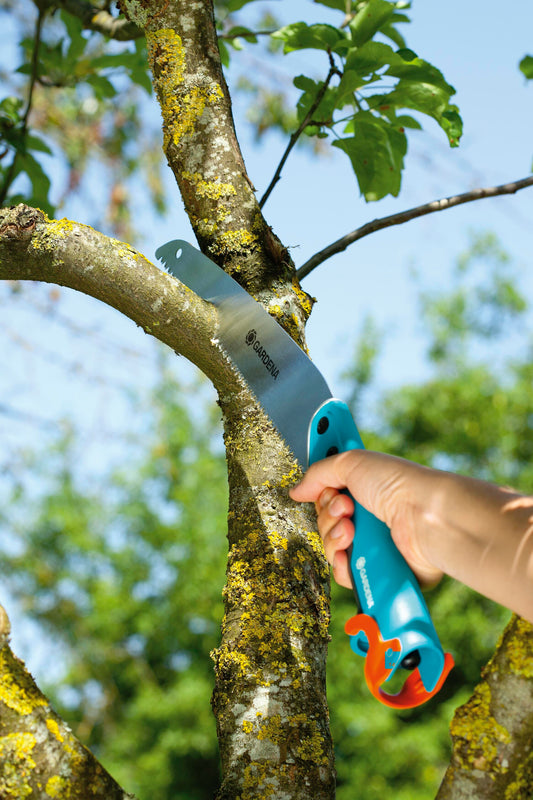 SEGACCIO GIARD.COMBISYSTEM 300 PP