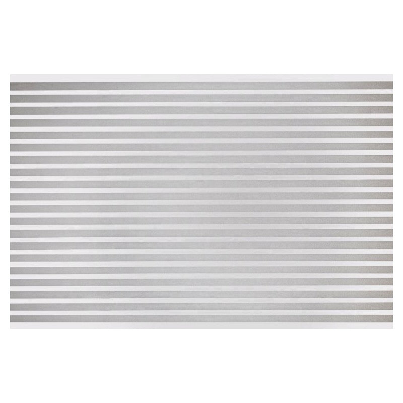 PELLICOLA DECORATIVA PER VETRI 45X200