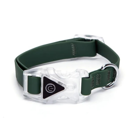 COLLARI LED PER CANI TG. M
