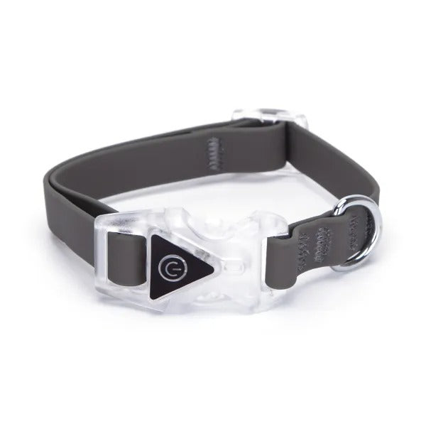 COLLARI LED PER CANI TG. M