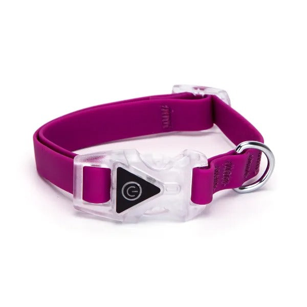 COLLARI LED PER CANI TG. M