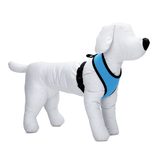 PETTORINA TRAFORATA NECK TG.M