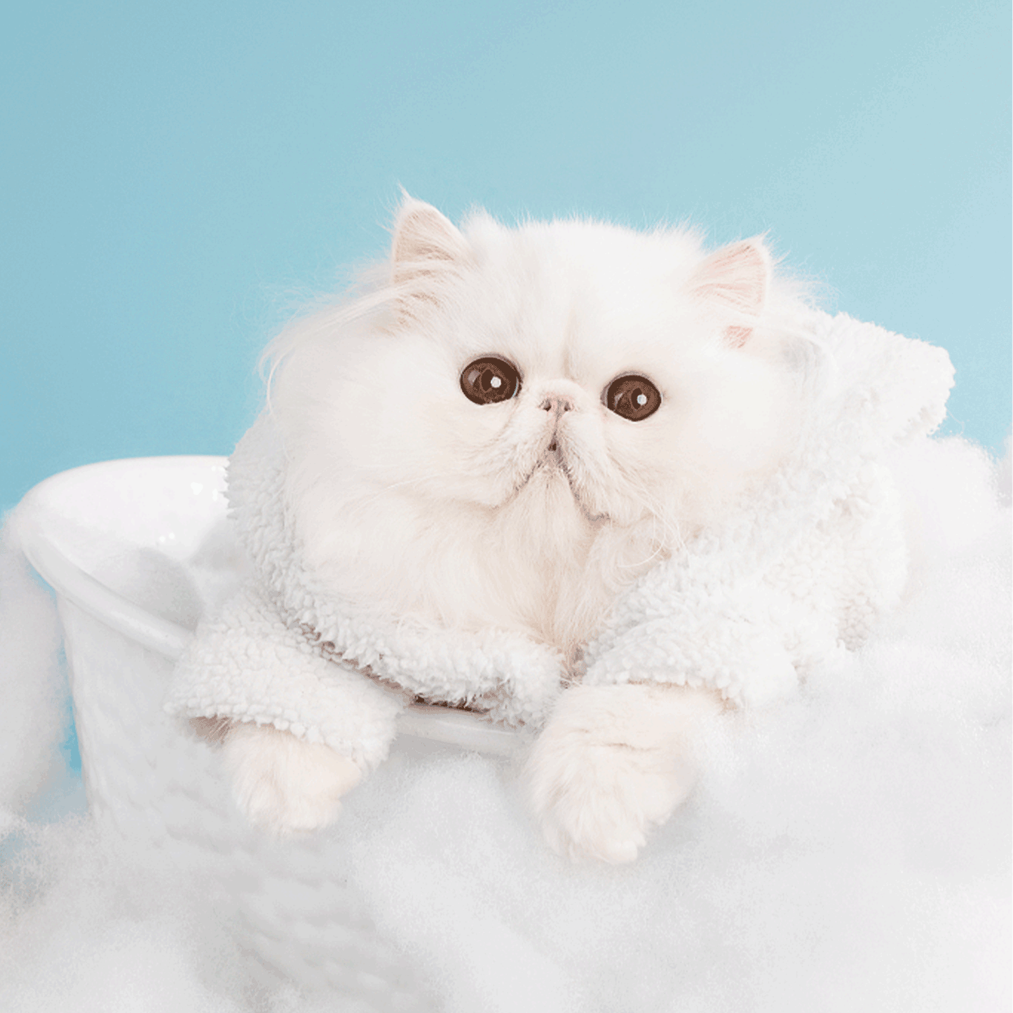 SHAMPOO GELSOMINO PER GATTI A PELO CHIARO ML.300