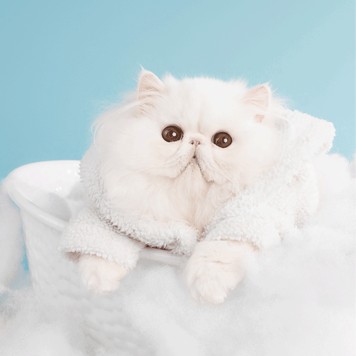 SHAMPOO GELSOMINO PER GATTI A PELO CHIARO ML.300