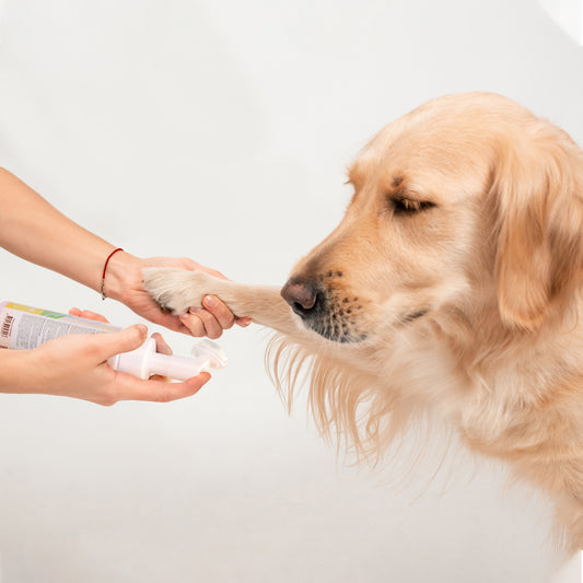 SHAMPOO IN SCHIUMA PER ZAMPE ML.250