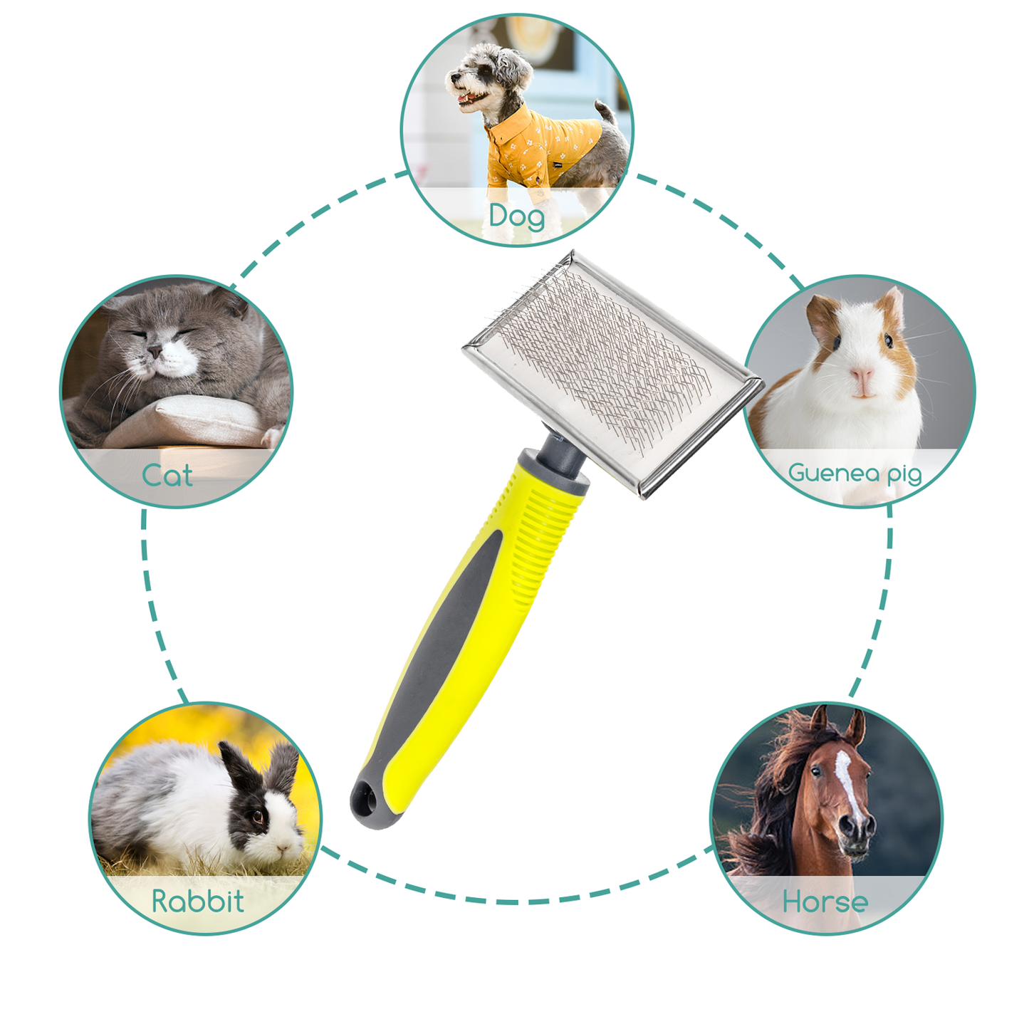 SPAZZOLA CARDATORE TG.M