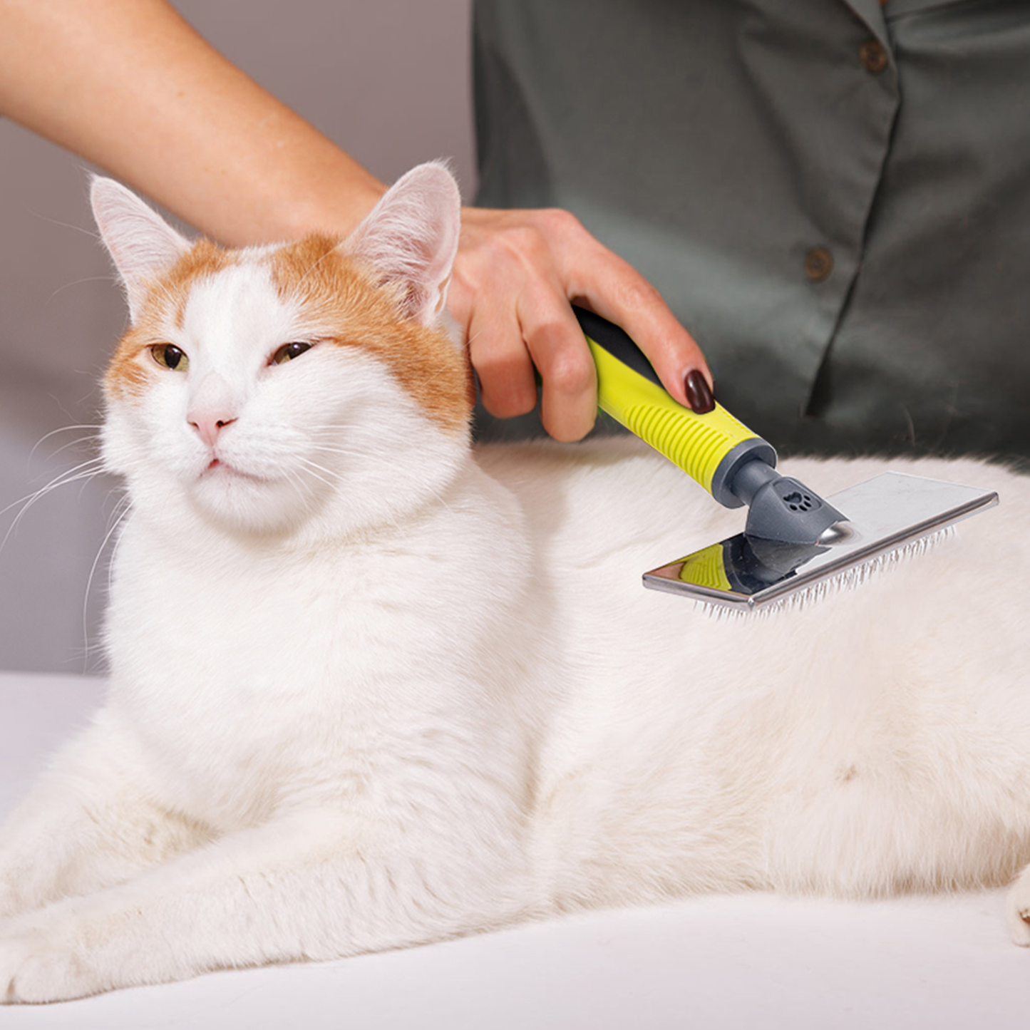 SPAZZOLA CARDATORE TG.M