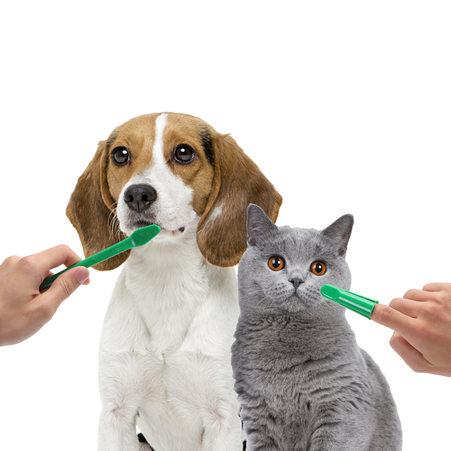 KIT DENTIFRICIO E SPAZZOLINO