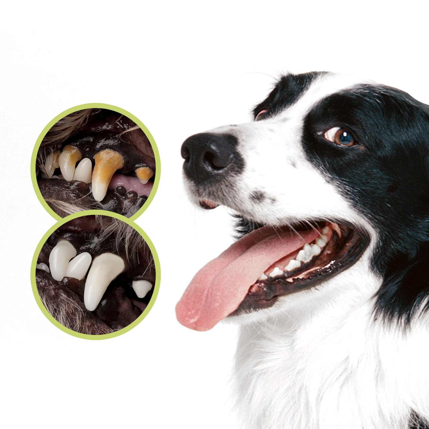 KIT DENTIFRICIO E SPAZZOLINO