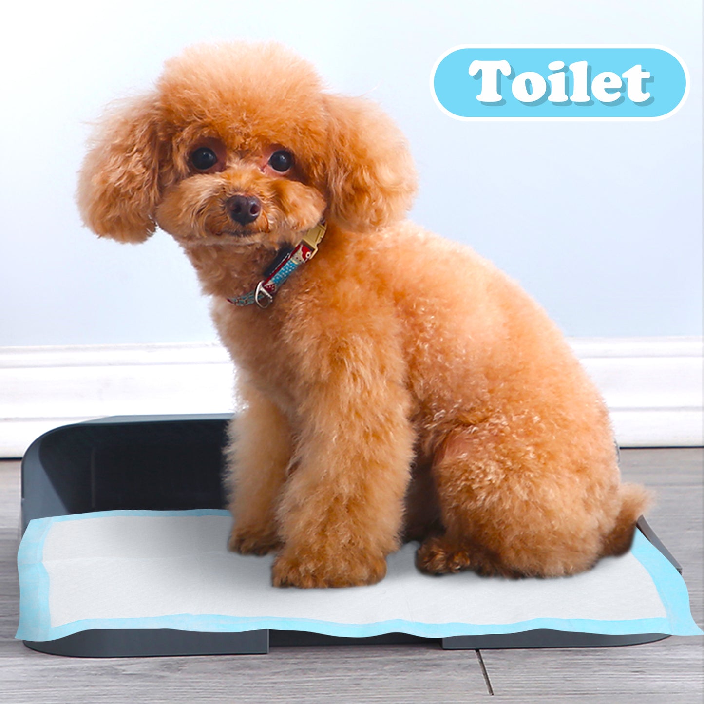 TAPPETINO IGIENICO CON ADESIVO TG.S (10PCS)