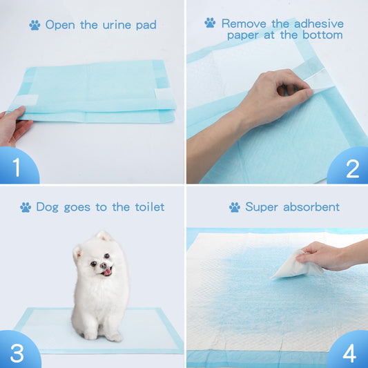 TAPPETINO IGIENICO CON ADESIVO 60X60 PZ.10