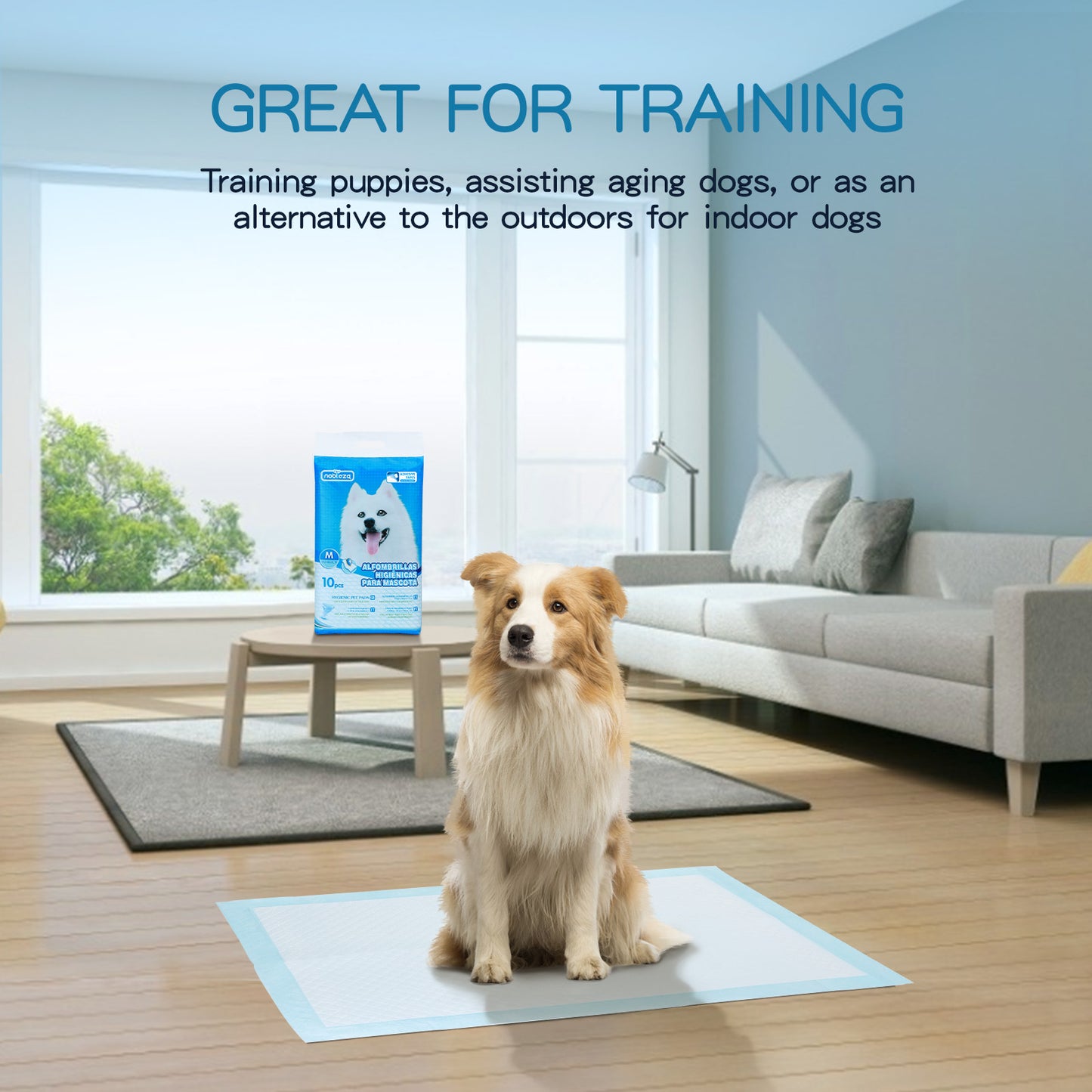 TAPPETINO IGIENICO CON ADESIVO 60X60 PZ.10