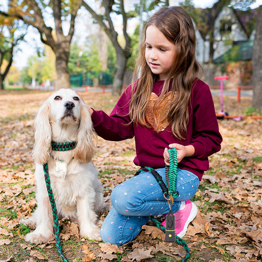 DISPENSER SACCHETTINI IGIENICI CON TORCIA
