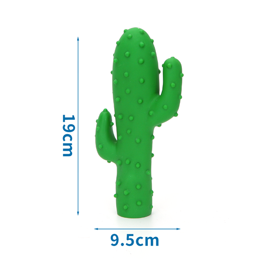 CACTUS IN VINILE