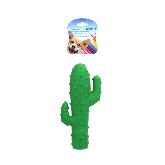 CACTUS IN VINILE