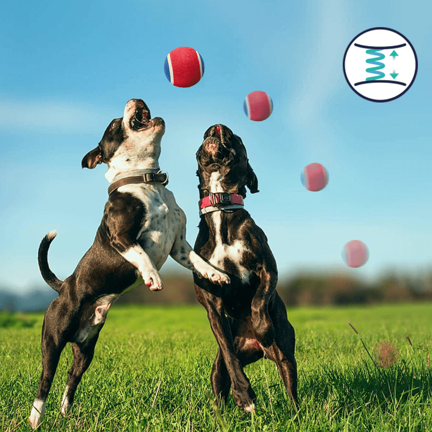 PALLINA DA TENNIS SONORA AD ALTA ELASTICITÀ