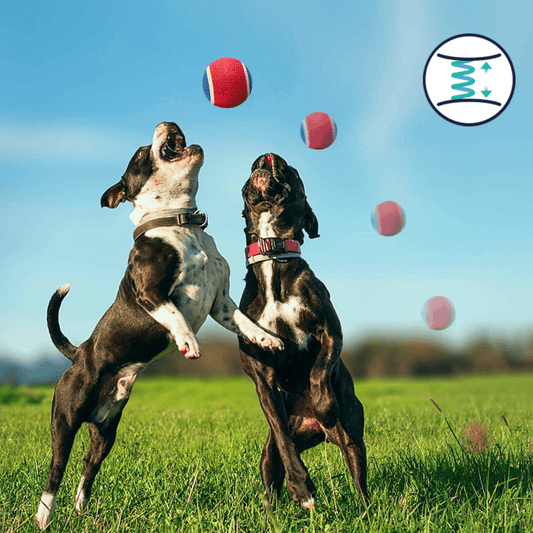 PALLINA DA TENNIS SONORA AD ALTA ELASTICITÀ