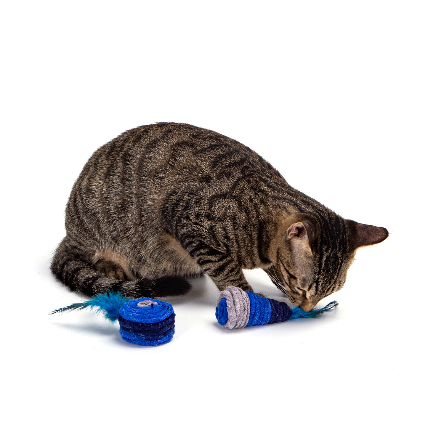 GIOCATTOLO IN LANA PER GATTI