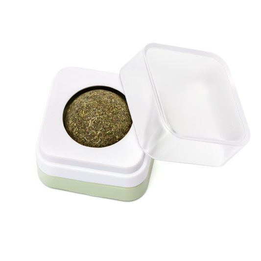 DISPENSER CON PALLINA DI ERBA GATTA