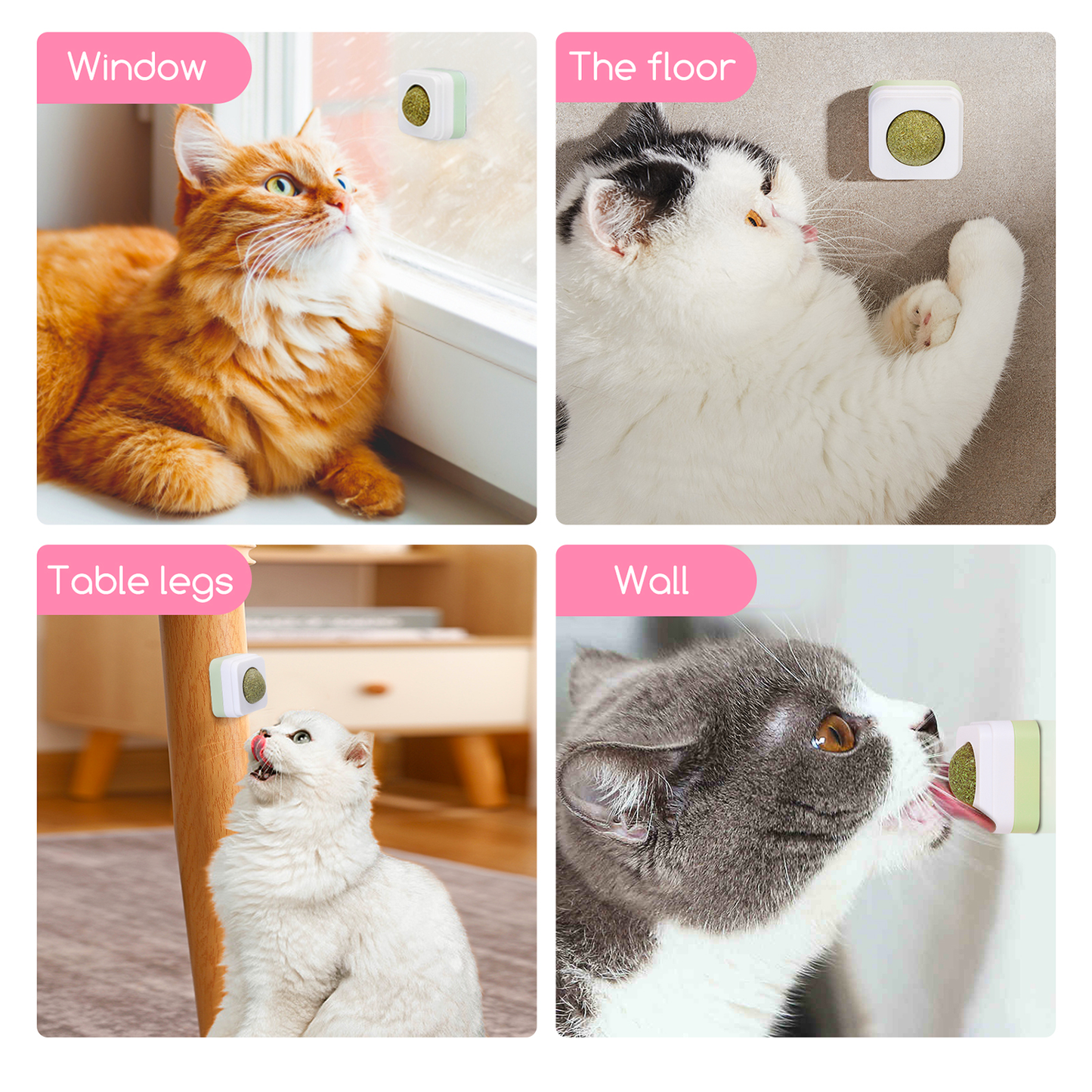 DISPENSER CON PALLINA DI ERBA GATTA