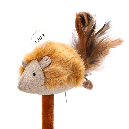 TIRAGRAFFI CON MOLLA E TOPOLINO