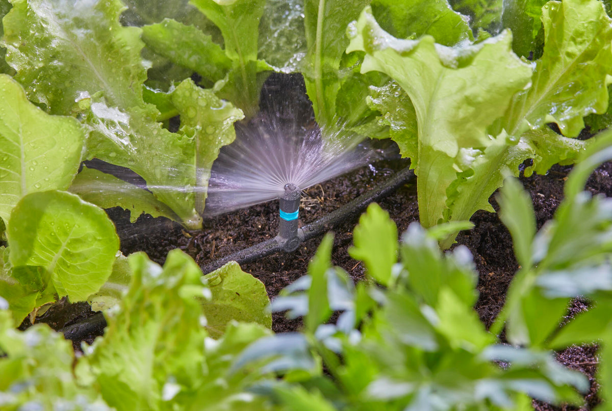 MICROIRRIGAT.SPRUZZO 180° GARDENA