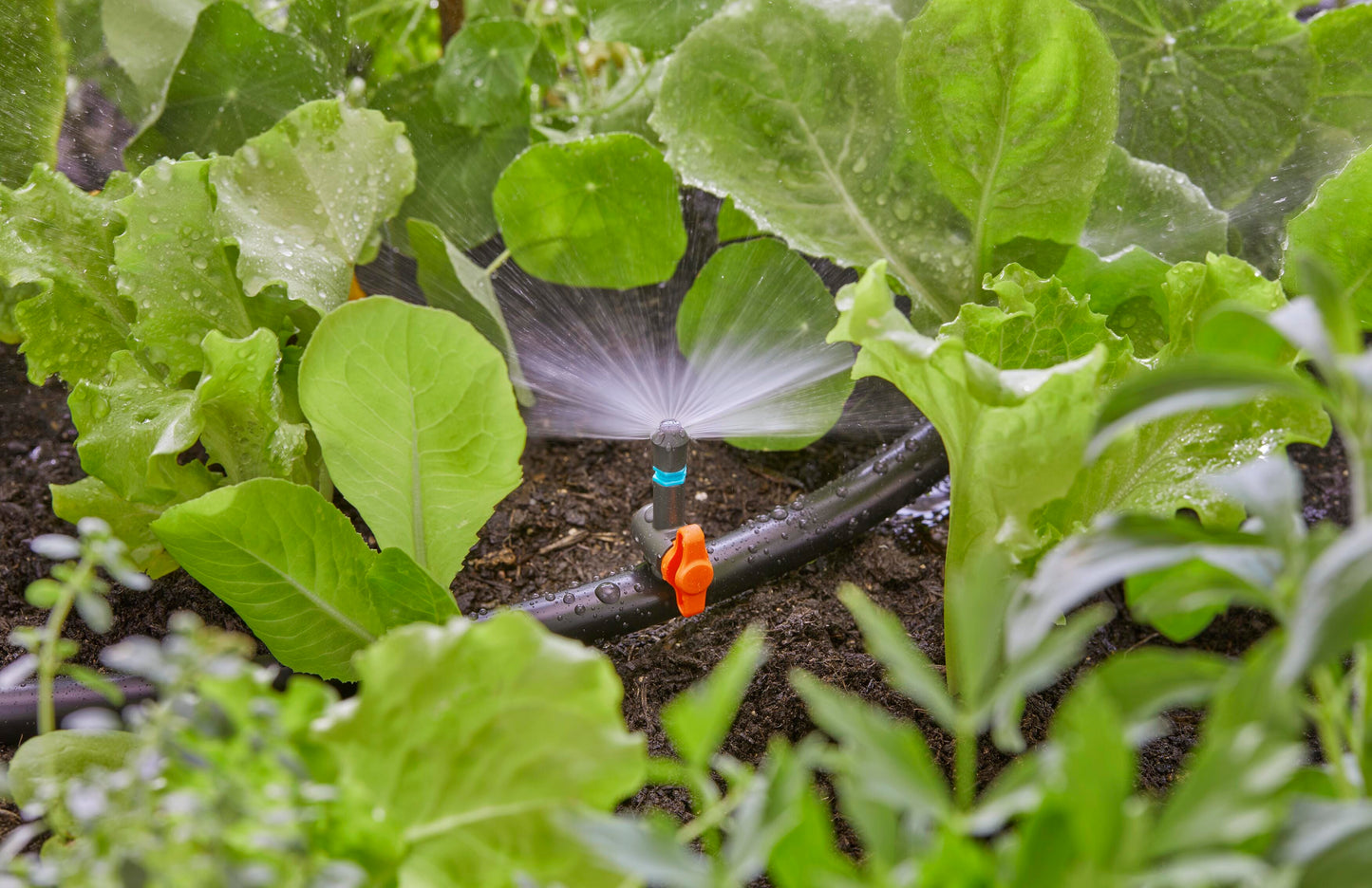 MICROIRRIGAT.SPRUZZO 180° GARDENA